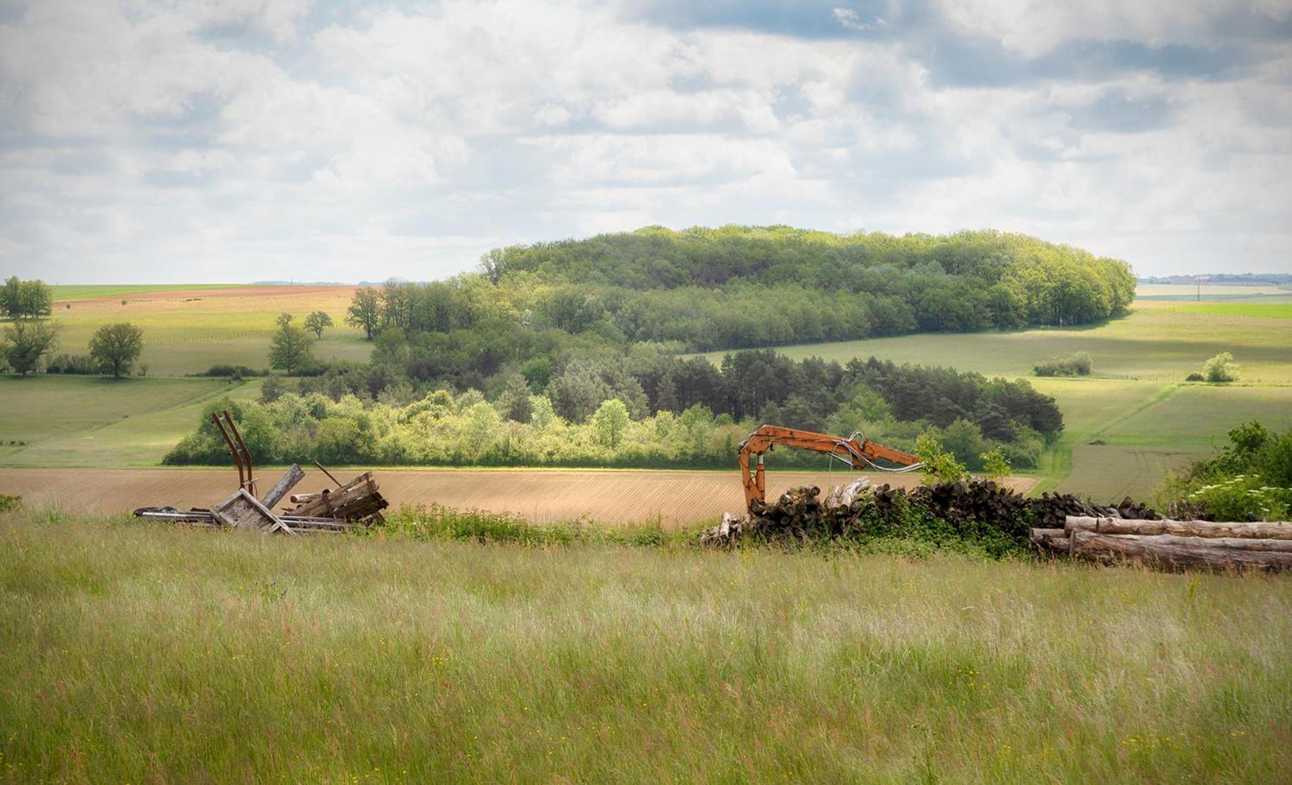 Gite De Charme, Grand Confort Marolles-sous-Lignieres Exteriör bild